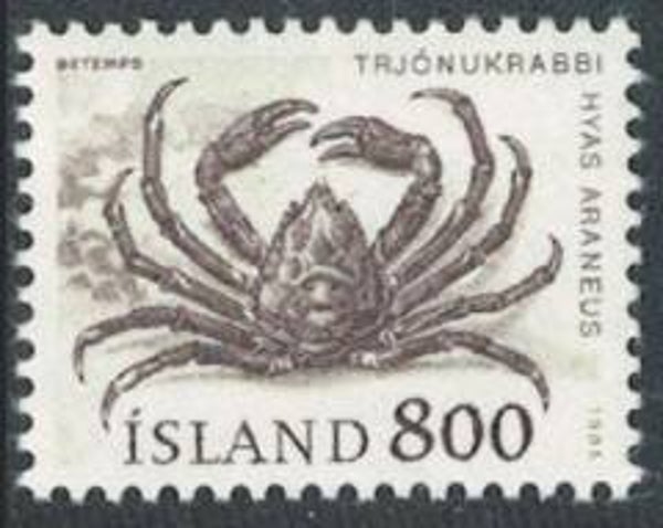 2106 Animals 1985 Iceland Crabs (Maja squinado) European Spider Crab stamp