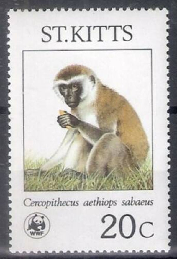 2106 Animals 1986 St Kitts Monkeys (Cercopithecus sabaeus) Green Monkey stamp