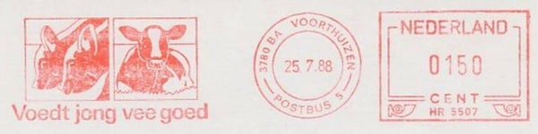 Animals 1988 Netherlands Cattle Cows meter