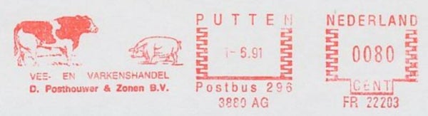 Animals 1991 Netherlands Cattle Cows meter