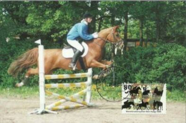Animals 1994 Netherlands Horses maximum card