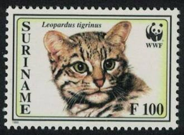 2106 Animals 1995 Surinam Wild Cats (Leopardus tigrinus) Oncilla stamp 2