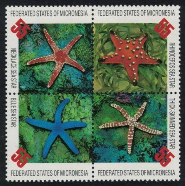2106 Animals 1996 Micronesia Starfish block of 4