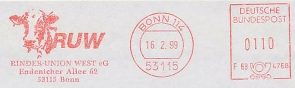 Animals 1999 Germany Cattle Cows meter