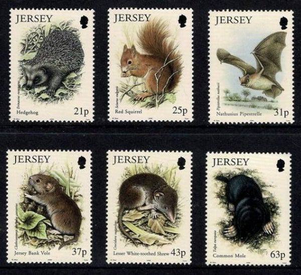 2106 Animals 1999 Jersey serie