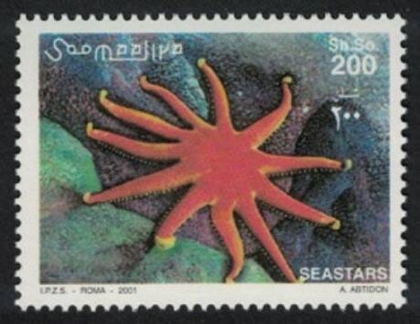2106 Animals 2001 Somalia Starfish (Astropecten aranciacus) Red Comb Star serie