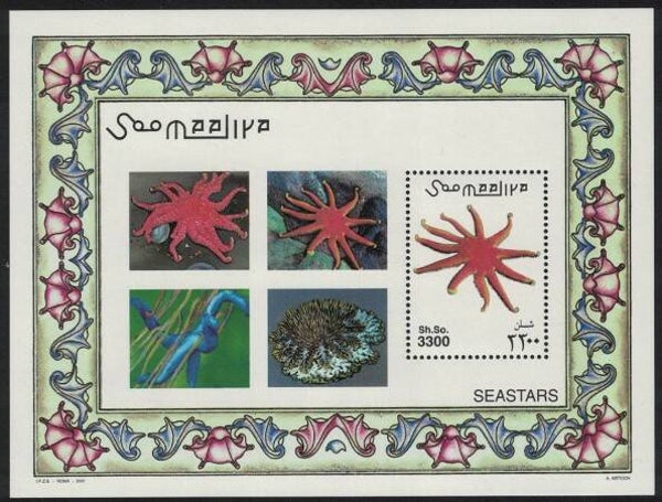 2106 Animals 2001 Somalia Starfish (Astropecten arantiacus) Red Comb Star block