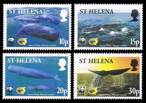 2106 Animals 2002 St Helena Whales (Physeter macrocephalus) Sperm Whale serie