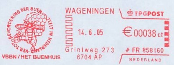 2106 Animals 2005 Netherlands Insects Bees meter