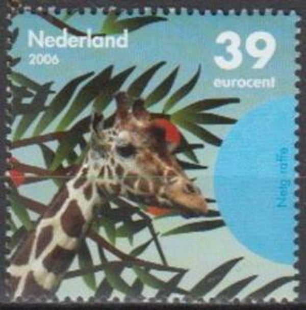 2106 Animals 2006 Netherlands (Giraffa camelopardalis reticulata) Reticulated Giraffe sheet