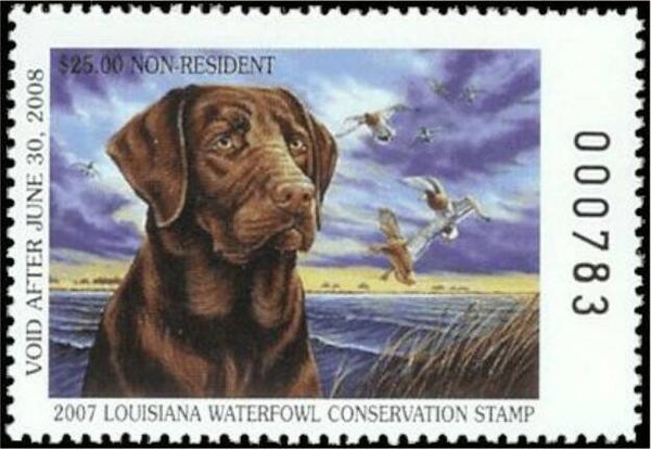 2106 Animals 2007 USA Louisiana Dogs Chocolate Labrador $25 waterfowl stamp
