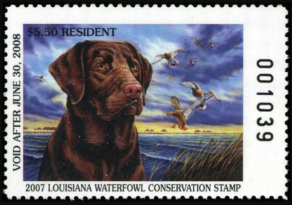 2106 Animals 2007 USA Louisiana Dogs Chocolate Labrador $5_50 waterfowl stamp