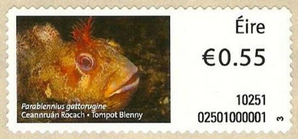 2106 Animals 2010 Ireland Fish (Parablennius gattorugine) Tompot Blenny ATM stamp