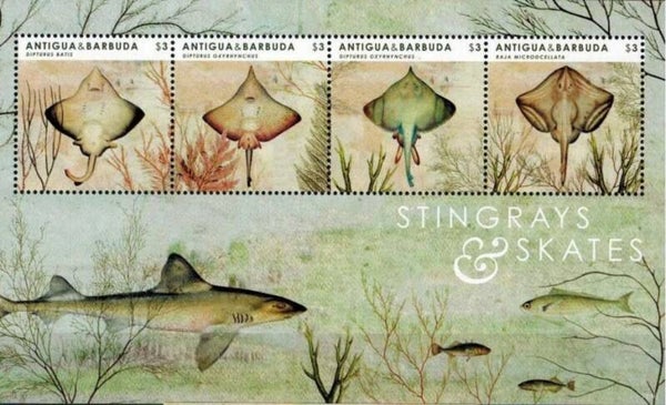 2106 Animals 2012 Antigua & Barbuda Stingrays souvenir sheet