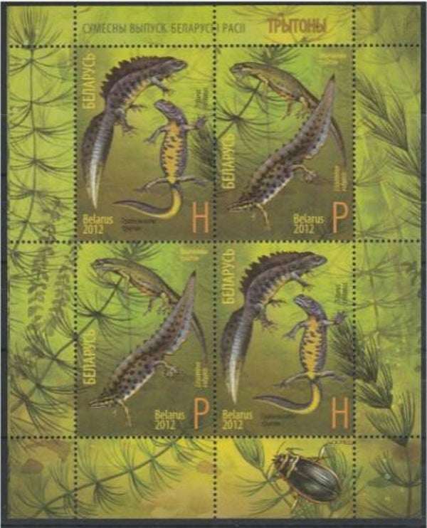 2106 Animals 2012 Belarus Salamanders miniature sheet