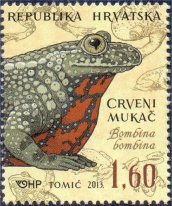 2106 Animals 2013 Croatia Frogs (Bombina bombina) European Fire-bellied Toad stamp