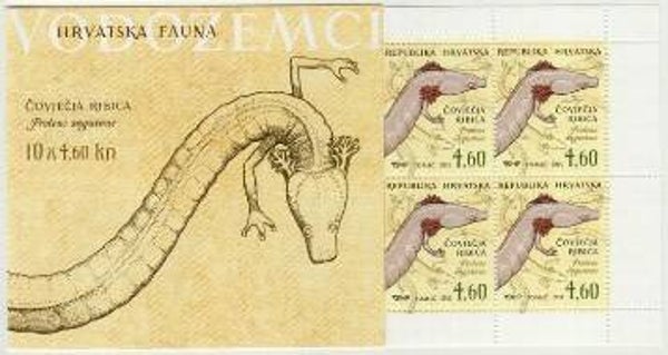 2106 Animals 2013 Croatia Salamander (Proteus anguinus) Olm booklet