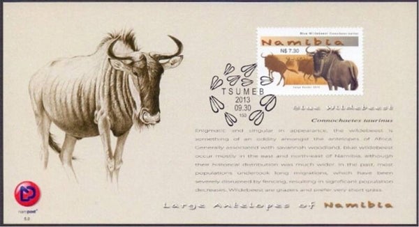 2106 Animals 2013 Namibia Antelopes (Connochaetes taurinus) Blue Wildebeest maximum card 1