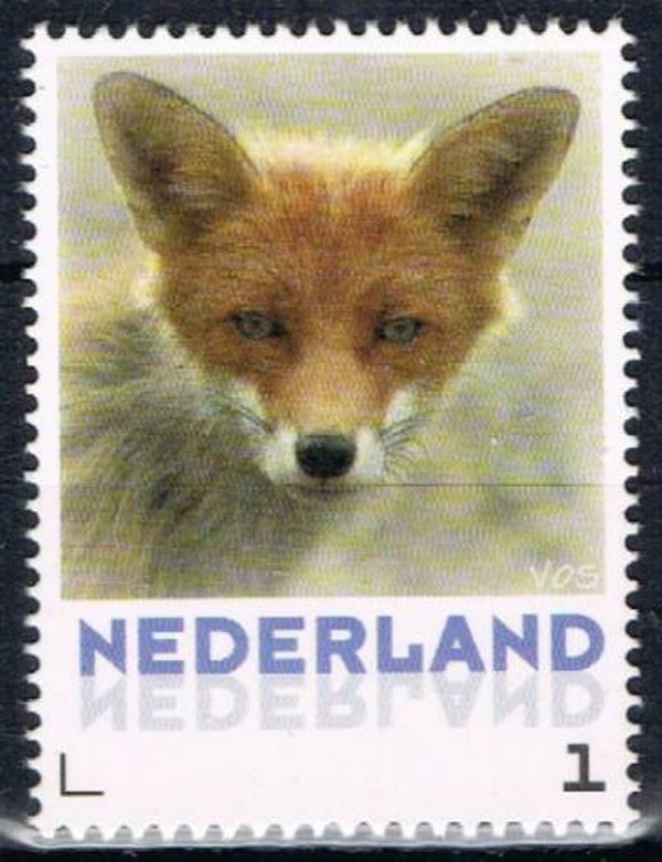 2106 Animals 2013 Netherlands Foxes (Vulpes vulpes) Red Fox stamp