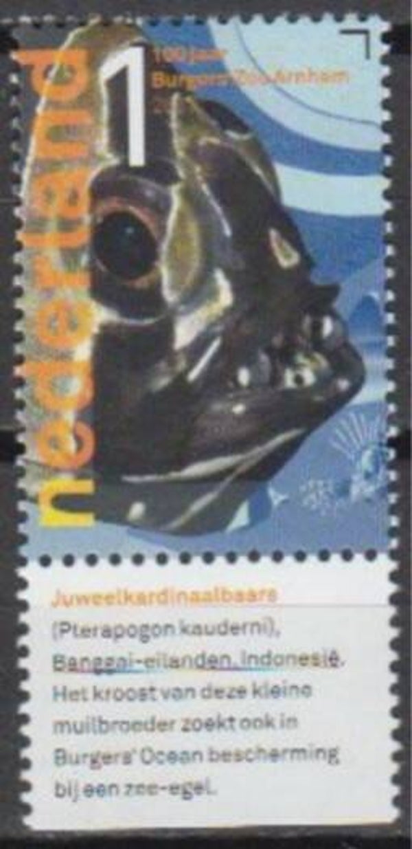 2106 Animals 2013 Netherlands Fishes (Pterapogon kauderni) Banggai Cardinalfish sheet