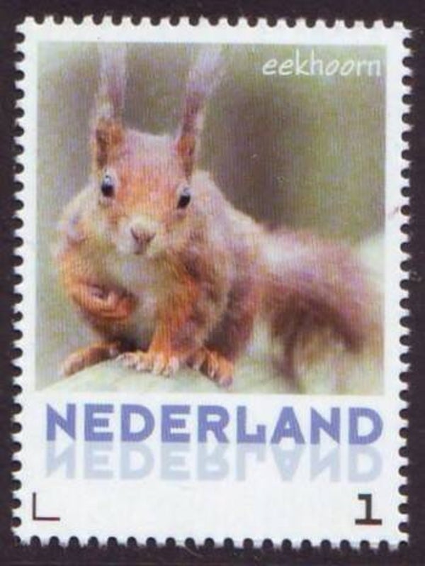 2106 Animals 2013 Netherlands Squirrels (Sciurus vulgaris) Red Squirrel stamp
