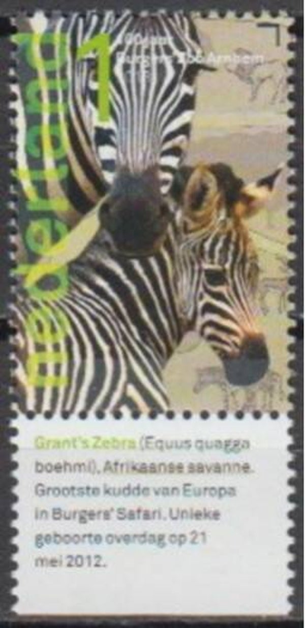 2106 Animals 2013 Netherlands Zebras (Equus quagga boehmi) Grant's Zebra sheet