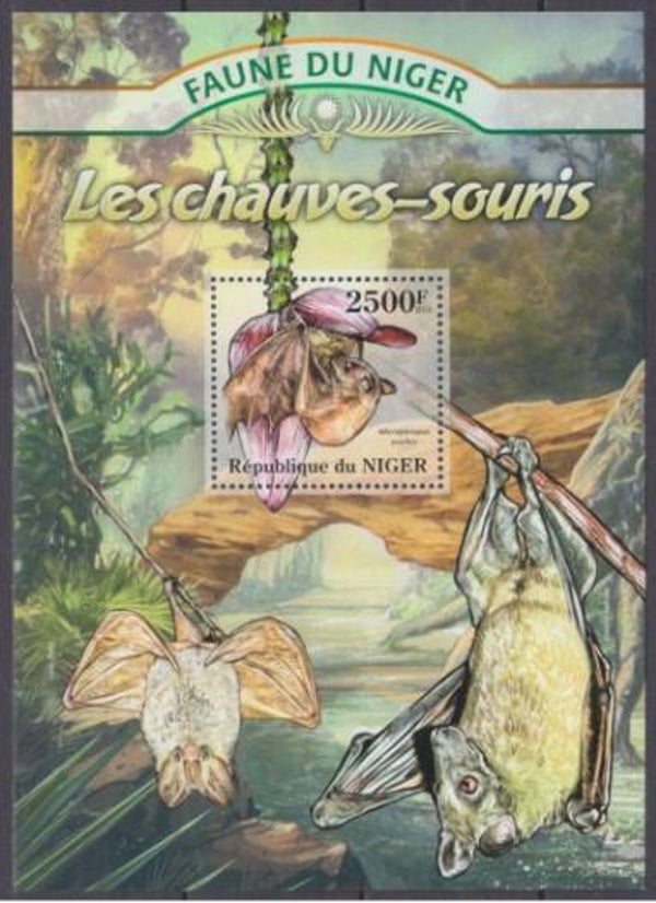 2106 Animals 2013 Niger Bats block