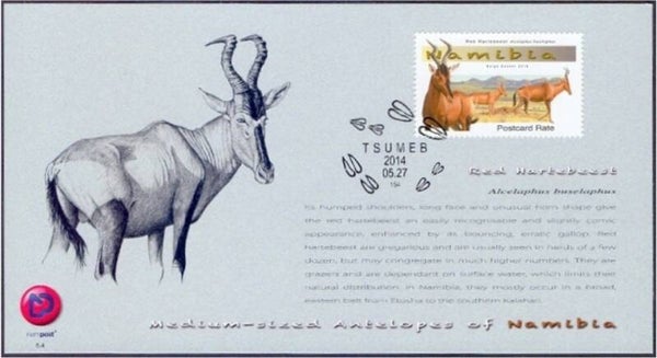 2106 Animals 2014 Namibia Antelopes (Alcelaphus buselaphus) Red Hartebeest maximum card 1