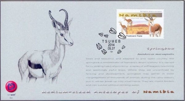 2106 Animals 2014 Namibia Antelopes (Antidorcas marsupialis) Springbok maximum card 1