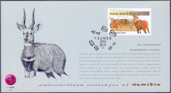 2106 Animals 2014 Namibia Antelopes (Tragelaphus scriptus) Buchbuck maximum card 1