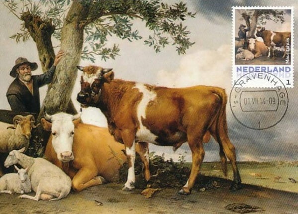 Animals 2014 Netherlands Cattle Cows maximum card