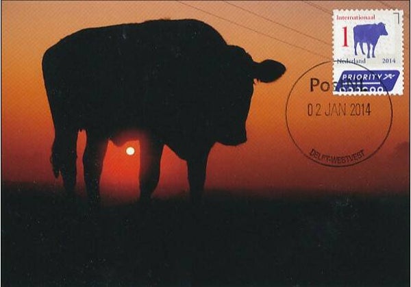 Animals 2014 Netherlands Cattle Cows maximum card 2