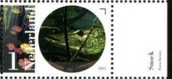 2106 Animals 2015 Netherlands Fishes (Esox lucius) Northern Pike sheet