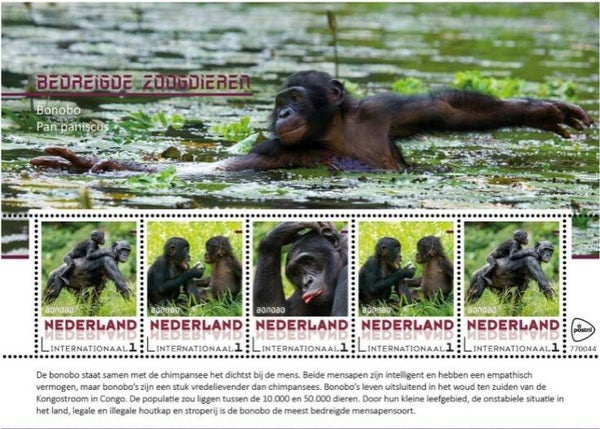 2106 Animals 2017 Netherlands Apes (Pan paniscus) Bonobo souvenir sheet