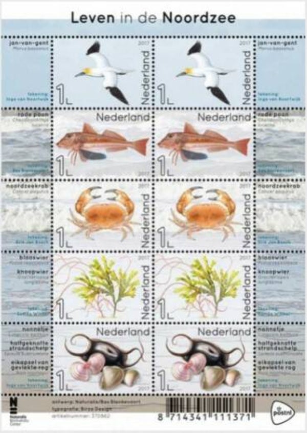 2106 Animals 2017 Netherlands Marine Life souvenir sheet