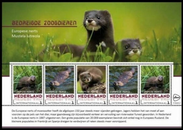 2106 Animals 2017 Netherlands (Mustela lutreola) European Mink souvenir sheet