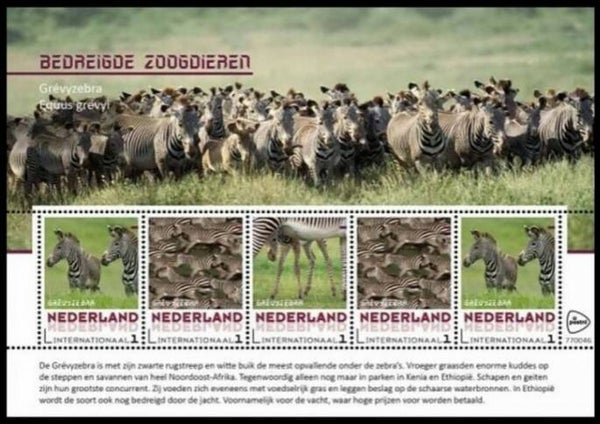 2106 Animals 2017 Netherlands Zebras (Equus grevyi) Grévy's Zebra souvenir sheet