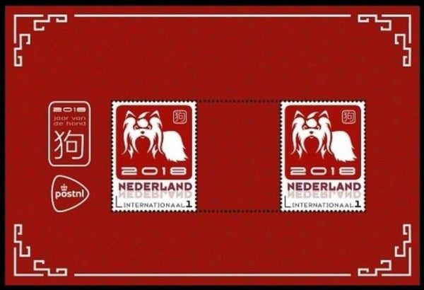 Animals 2018 Netherlands Dogs block