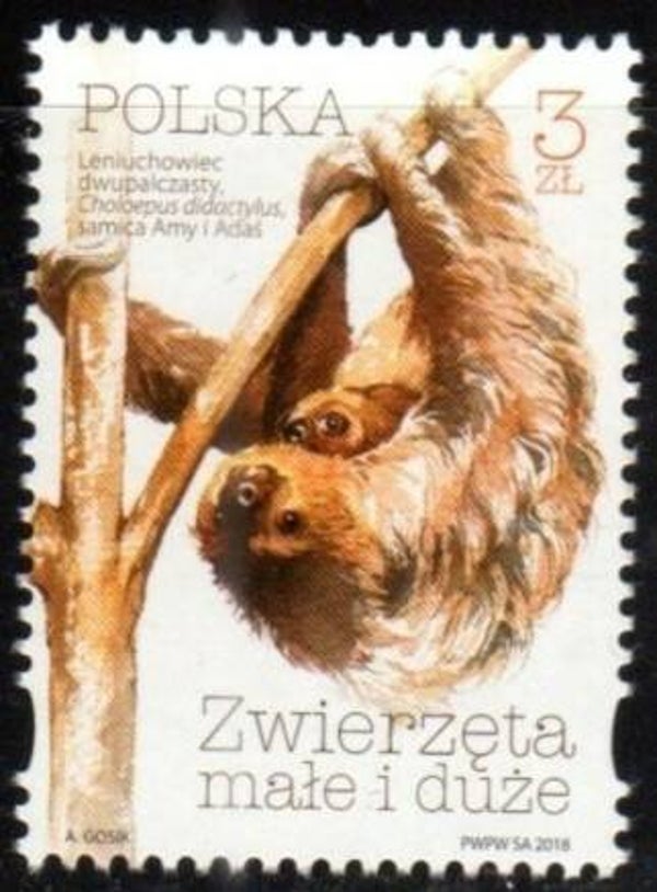2106 Animals 2018 Poland (Cholaepus didactylus) Linnaeus's Two-toed Sloth serie