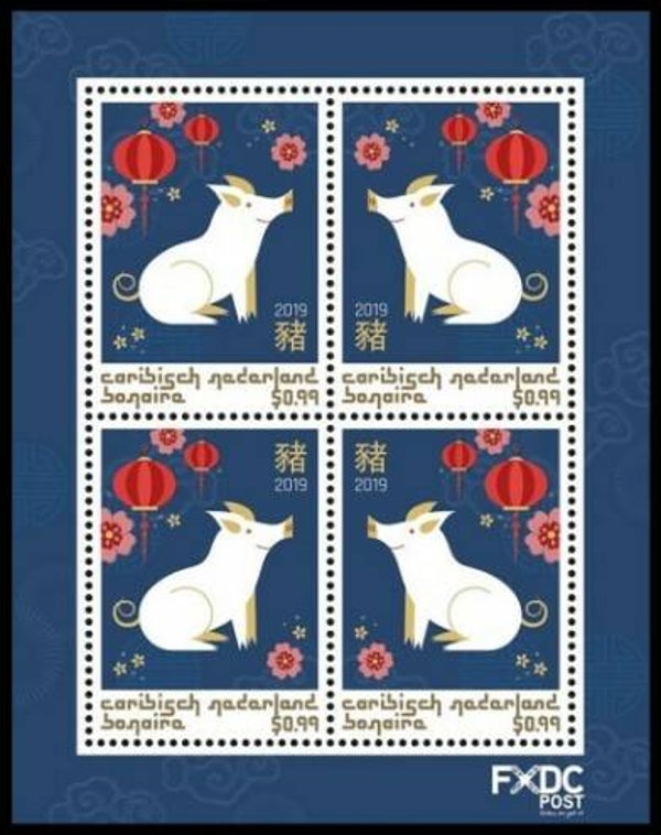 Animals 2019 Caribbean Netherlands Bonaire Pigs sheet