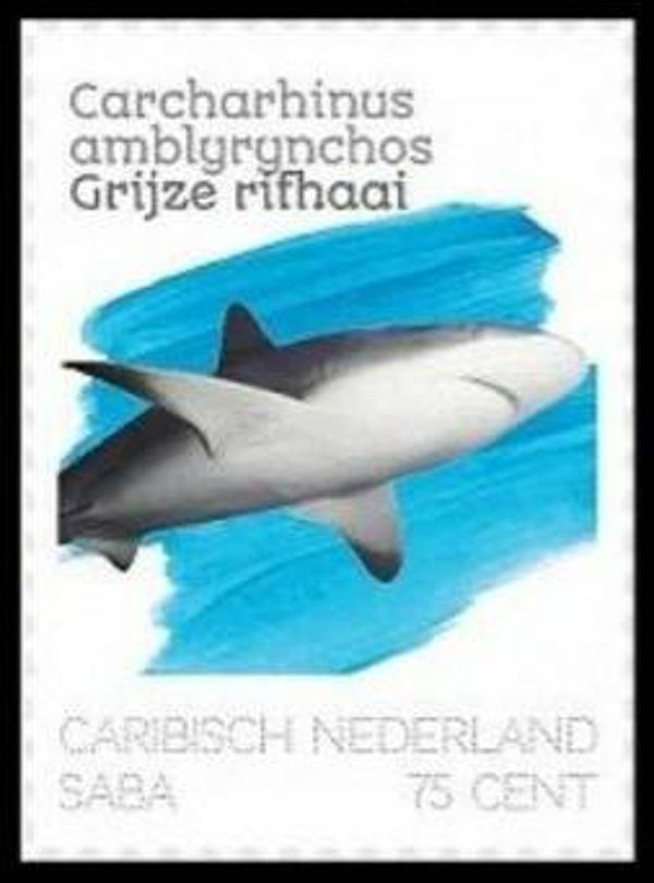 2106 Animals 2020 Caribbean Netherlands Saba Sharks (Carcharhinus amblyrynchos) Grey Reef Shark serie