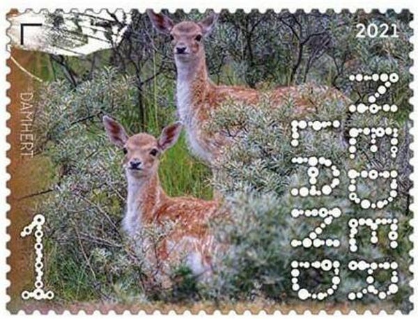 2106 Animals 2021 Netherlands Deer (Dama dama) European Fallow Deer stamp