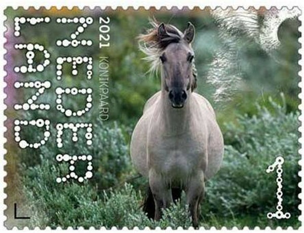 2106 Animals 2021 Netherlands Horses (Equus caballus var. Konik) Konik stamp