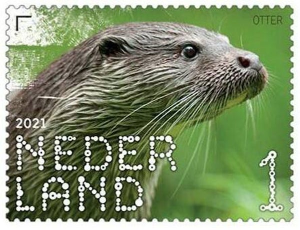2106 Animals 2021 Netherlands (Lutra lutra) Eurasian Otter stamp