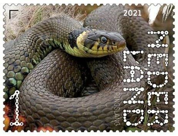 2106 Animals 2021 Netherlands Reptiles Snakes (Natrix natrix) Grass Snake stamp