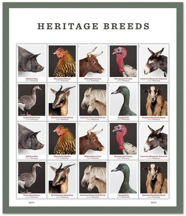 2106 Animals 2021 USA Farm Animals sheet