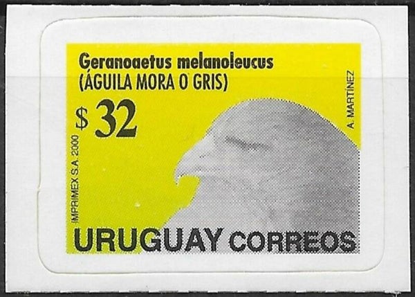 2106 Birds 2000 Uruguay Birds of Prey (Geranoaetus melanoleucus) Black-chested Buzzard-eagle stamp $32 self adhesive