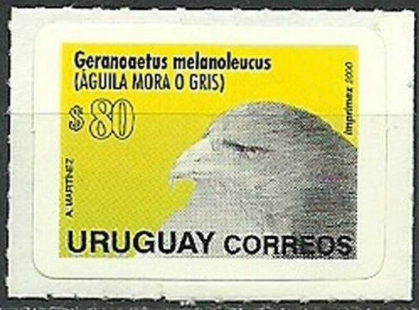2106 Birds 2000 Uruguay Birds of Prey (Geranoaetus melanoleucus) Black-chested Buzzard-eagle stamp 80c self adhesive