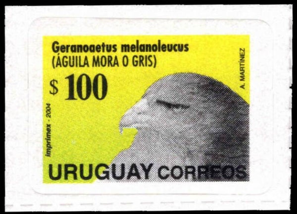 2106 Birds 2004 Uruguay Birds of Prey (Geranoaetus melanoleucus) Black-chested Buzzard-eagle stamp $100 self adhesive