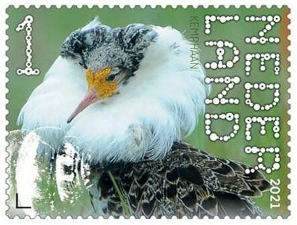 2106 Birds 2021 Netherlands (Calidris pugnax) Ruff stamp